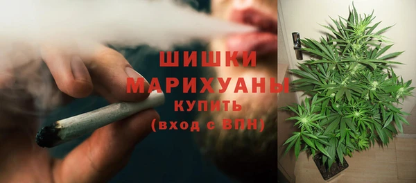 гашик Коряжма