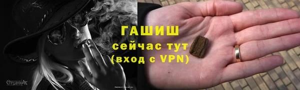 гашик Коряжма